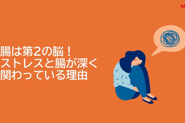 オンラインで視聴可能、腸活ムービーのLINE販売がスタート 画像