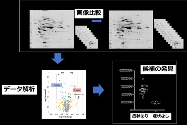 更年期症状に関与するバイオマーカーを発見、aiwell株式会社 画像