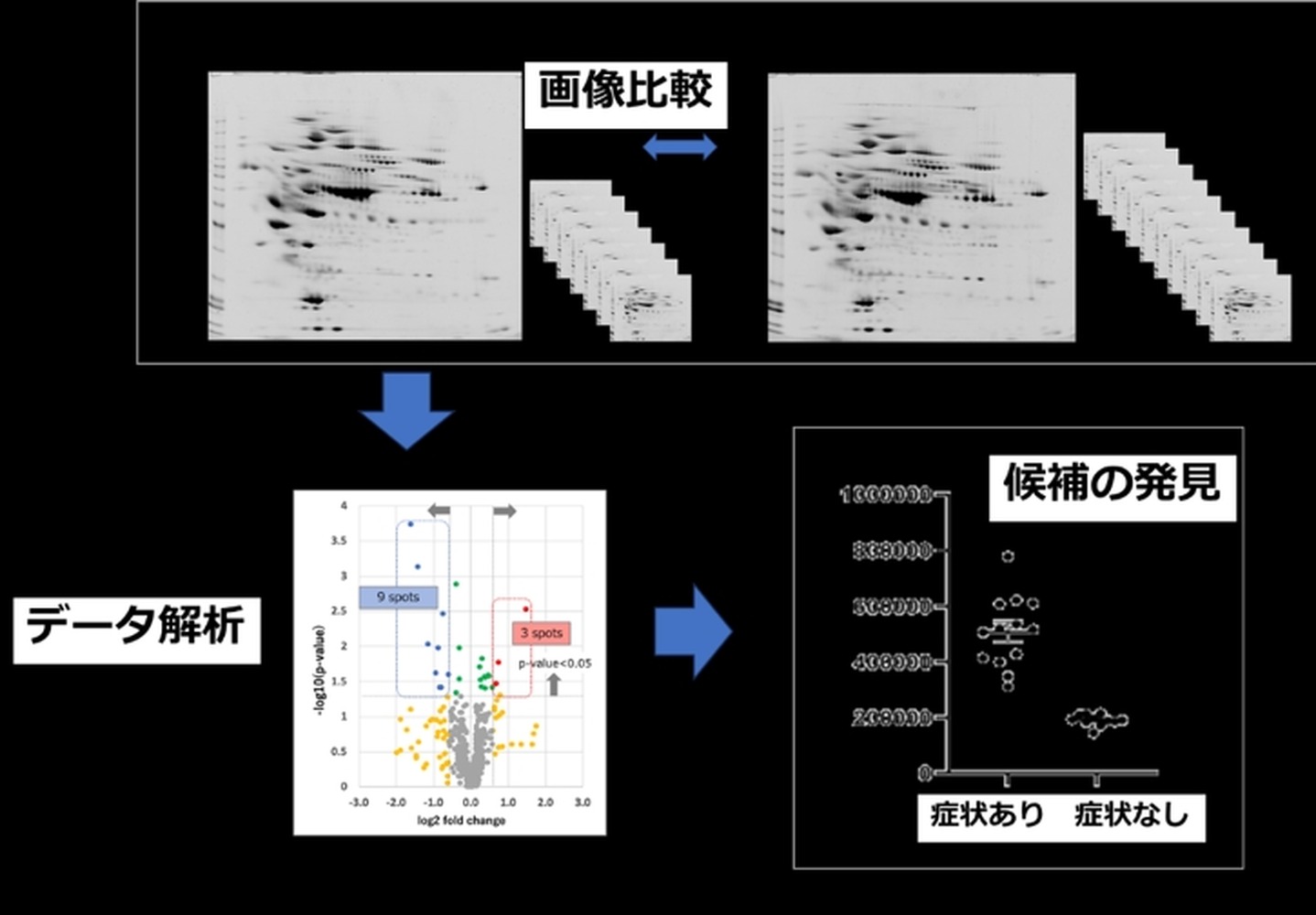 更年期症状に関与するバイオマーカーを発見、aiwell株式会社
